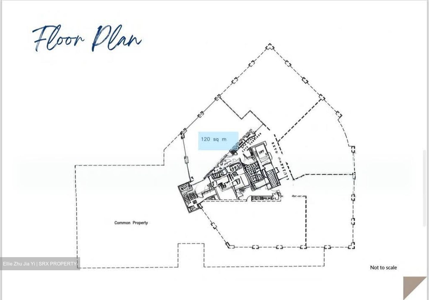 Anson House (D2), Office #599575691